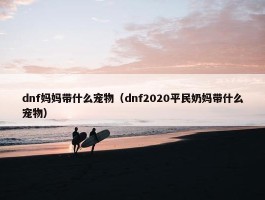 dnf妈妈带什么宠物（dnf2020平民奶妈带什么宠物）