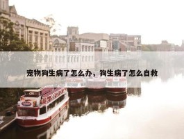 宠物狗生病了怎么办，狗生病了怎么自救