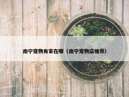 南宁宠物有家在哪（南宁宠物店推荐）