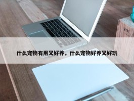 什么宠物有用又好养，什么宠物好养又好玩