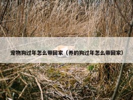 宠物狗过年怎么带回家（养的狗过年怎么带回家）