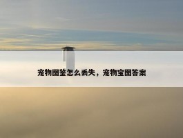 宠物图鉴怎么丢失，宠物宝图答案