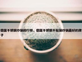 德国不锈钢炒锅排行榜，德国不锈钢不粘锅炒锅最好的牌子