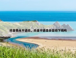 抖音我永不退抖，抖音不退出会自动下线吗