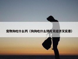 宠物狗吃什么钙（狗狗吃什么钙片又经济又实惠）