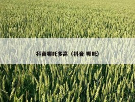 抖音哪吒多高（抖音 哪吒）