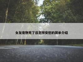 女友宠物死了该怎样安慰的简单介绍