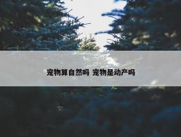 宠物算自然吗 宠物是动产吗