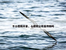 不小樱桃抖音，小樱桃公司是传销吗