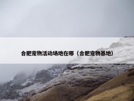 合肥宠物活动场地在哪（合肥宠物基地）