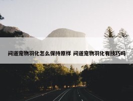 问道宠物羽化怎么保持原样 问道宠物羽化有技巧吗