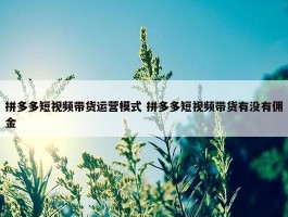 拼多多短视频带货运营模式 拼多多短视频带货有没有佣金