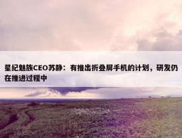 星纪魅族CEO苏静：有推出折叠屏手机的计划，研发仍在推进过程中