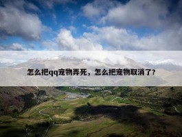 怎么把qq宠物弄死，怎么把宠物取消了?