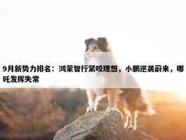 9月新势力排名：鸿蒙智行紧咬理想，小鹏逆袭蔚来，哪吒发挥失常