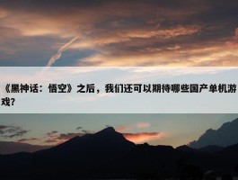 《黑神话：悟空》之后，我们还可以期待哪些国产单机游戏？