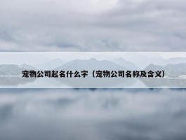 宠物公司起名什么字（宠物公司名称及含义）