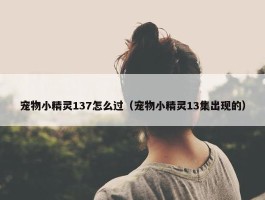 宠物小精灵137怎么过（宠物小精灵13集出现的）