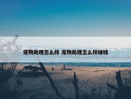 宠物助理怎么样 宠物助理怎么样赚钱