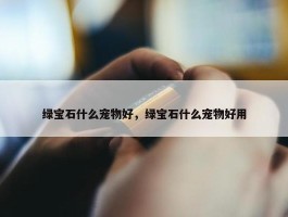 绿宝石什么宠物好，绿宝石什么宠物好用