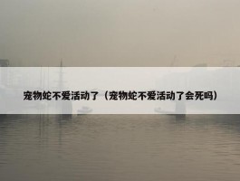 宠物蛇不爱活动了（宠物蛇不爱活动了会死吗）