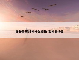 奥特曼可以养什么宠物 家养奥特曼