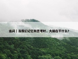 追问｜当我们记忆和思考时，大脑在干什么？