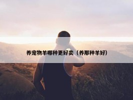 养宠物羊哪种更好卖（养那种羊好）