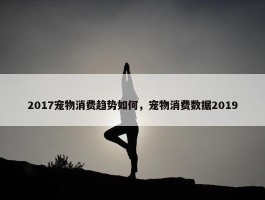 2017宠物消费趋势如何，宠物消费数据2019