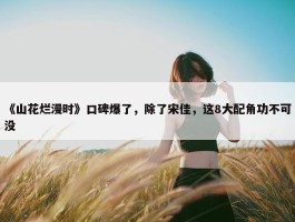 《山花烂漫时》口碑爆了，除了宋佳，这8大配角功不可没