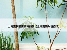 上海宠物隔离条件如何（上海宠物入境疫情）