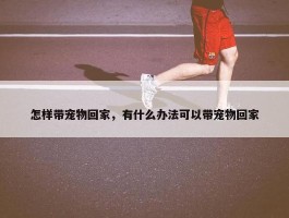 怎样带宠物回家，有什么办法可以带宠物回家