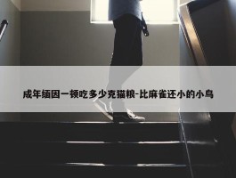 成年缅因一顿吃多少克猫粮-比麻雀还小的小鸟