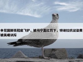 申花国脚亮鞋底飞铲，被马宁直红罚下，特谢拉抗议染黄被吴曦训斥