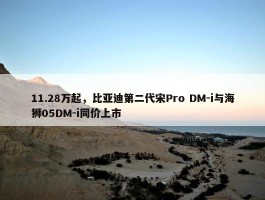 11.28万起，比亚迪第二代宋Pro DM-i与海狮05DM-i同价上市