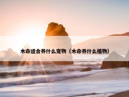 木命适合养什么宠物（木命养什么植物）