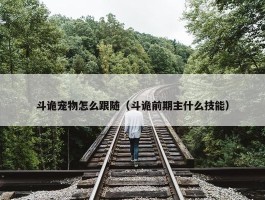 斗诡宠物怎么跟随（斗诡前期主什么技能）