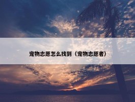 宠物志愿怎么找到（宠物志愿者）