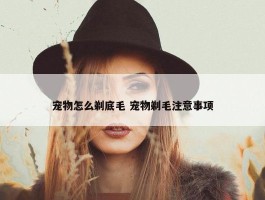 宠物怎么剃底毛 宠物剃毛注意事项