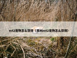 mt2宠物怎么获得（我叫mt2宠物怎么获得）