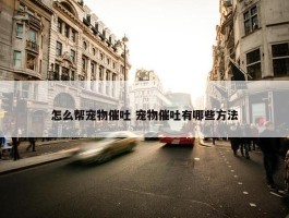 怎么帮宠物催吐 宠物催吐有哪些方法