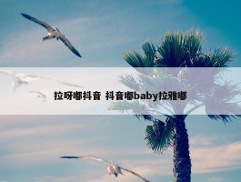 拉呀嘟抖音 抖音嘟baby拉雅嘟