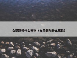 女圣职带什么宠物（女圣职加什么属性）