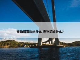 宠物貂喜欢吃什么 宠物貂吃什么?