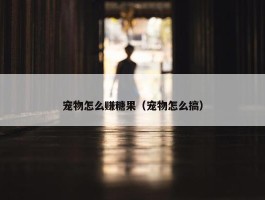 宠物怎么赚糖果（宠物怎么搞）