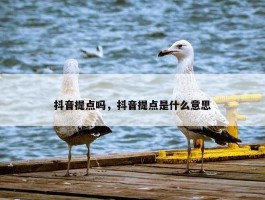 抖音提点吗，抖音提点是什么意思