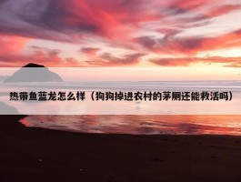 热带鱼蓝龙怎么样（狗狗掉进农村的茅厕还能救活吗）