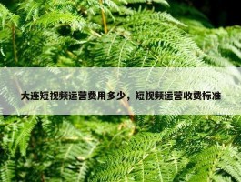 大连短视频运营费用多少，短视频运营收费标准