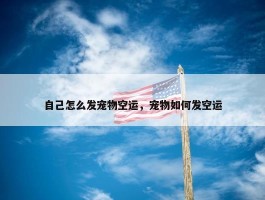 自己怎么发宠物空运，宠物如何发空运