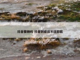 抖音要删吗 抖音到底该不该卸载